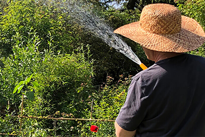 Tuinkunstdag op Tuinwijck